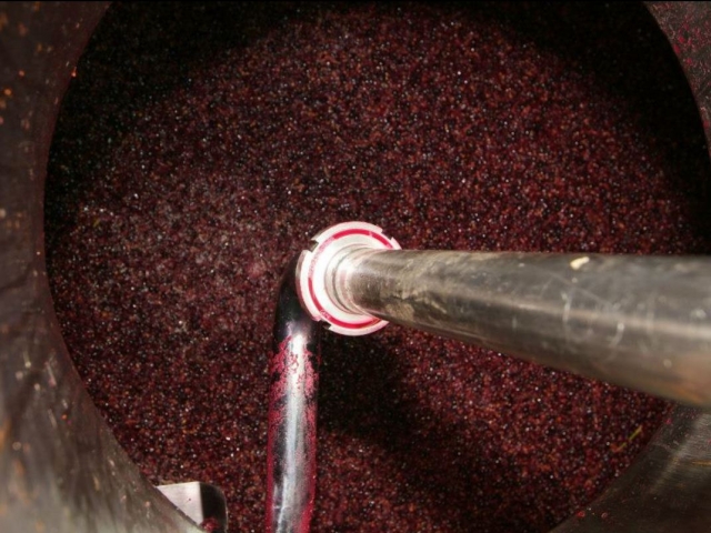  Wine making process